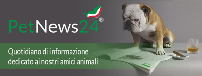 PetNews24.it